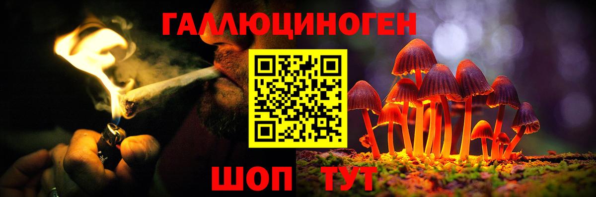 Волжск  Галлюциногенные грибы Psilocybe  Вход с VPN 
